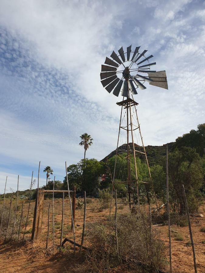 אאודטסהורן Thabile Lodge מראה חיצוני תמונה
